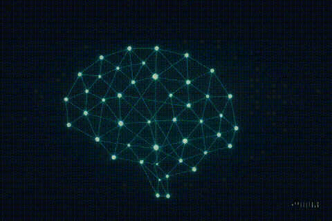 Neo4j Knowledge Graph Visualizer